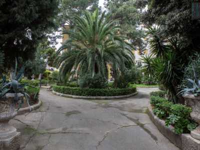 Ci ritroviamo subito immersi in una oasi verde con aiuole circolari ricche di palme, pini, querce, arbusti, fiori e raffinati decori...